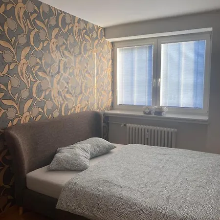 Apartman Se Dvemi Loznicemi 公寓 布尔诺